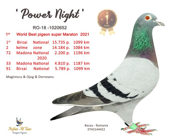 32808-24 consanvin Power Night, loc 1 National Maraton 2021