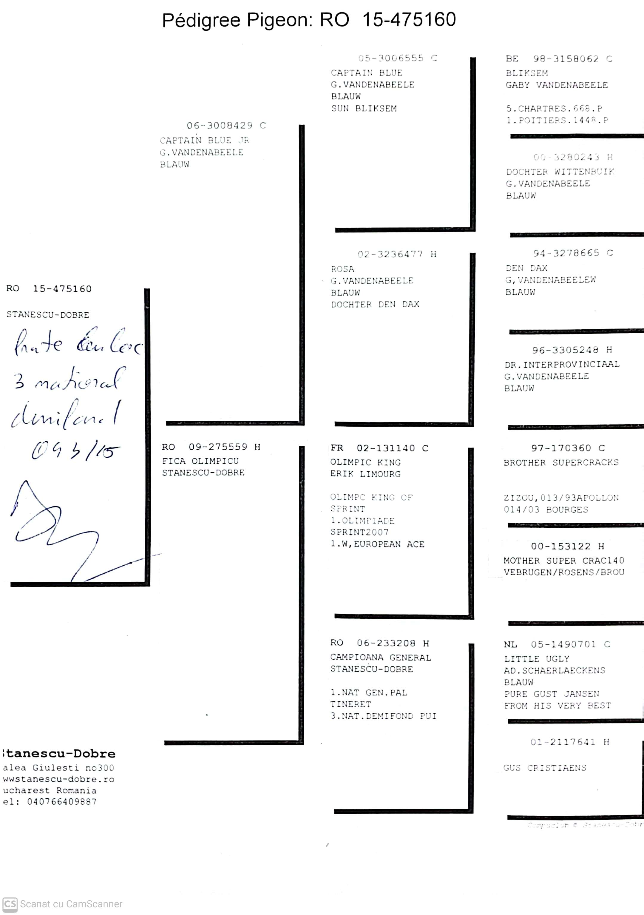 475160-15 M orig. Stanescu & Dobre, frate loc 3 National Demifond 2015