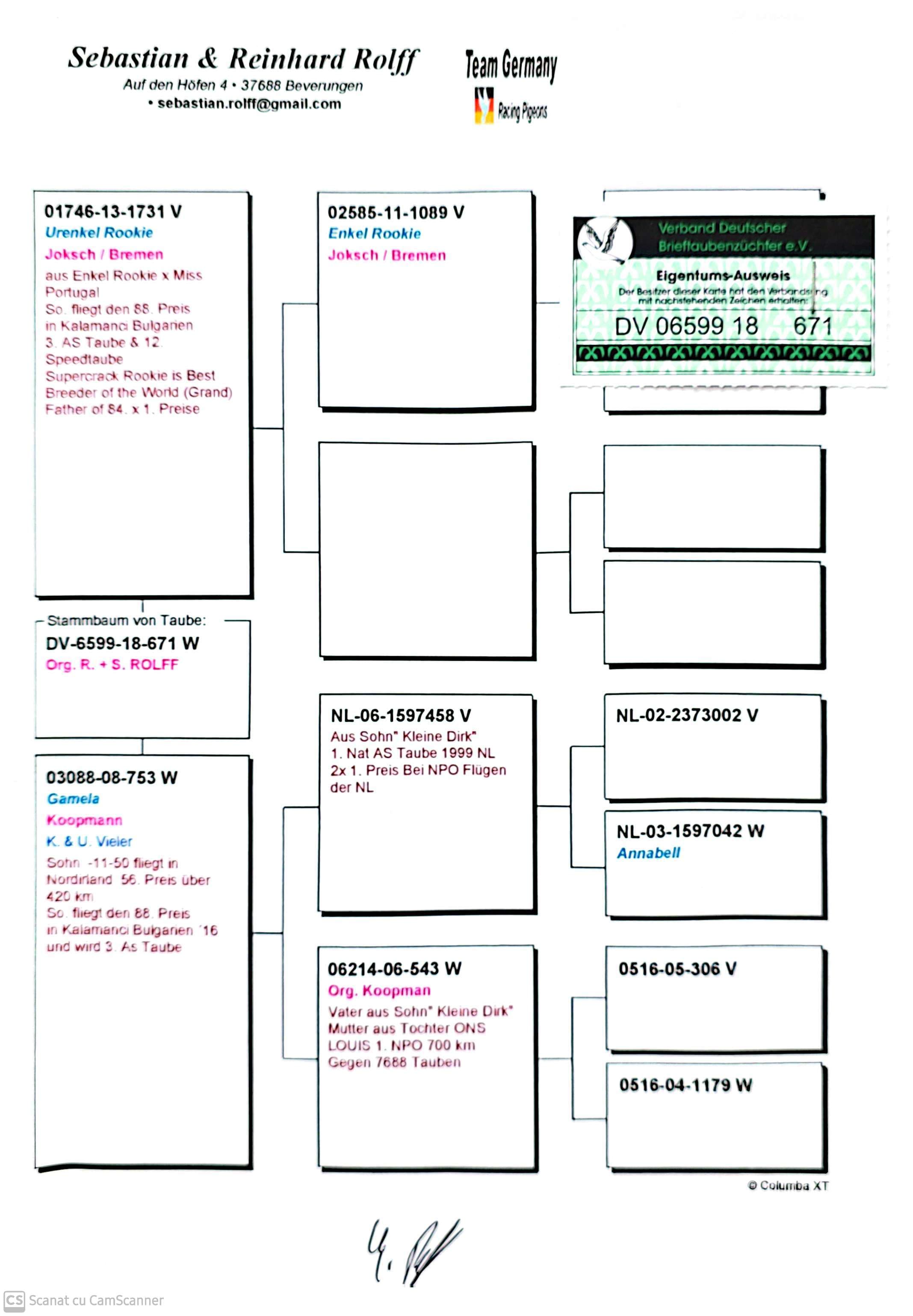 DV 6599-18-671 F orig. Sebastian & Reinhard Rolff, consangvin Kleine Dirk, loc 1 Nat.AS