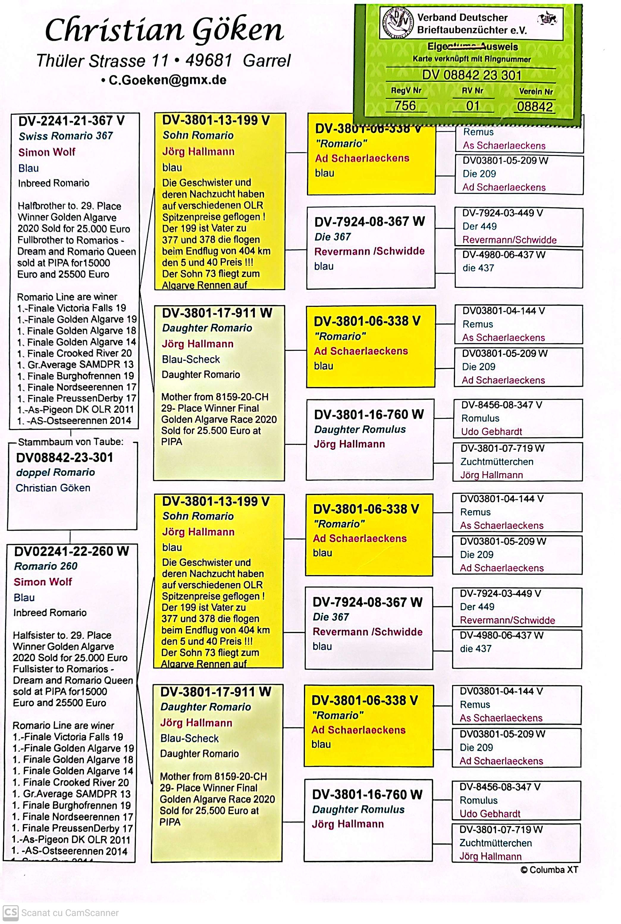 DV 8842-23-301 F orig. Christian Goken, consangvina Romario