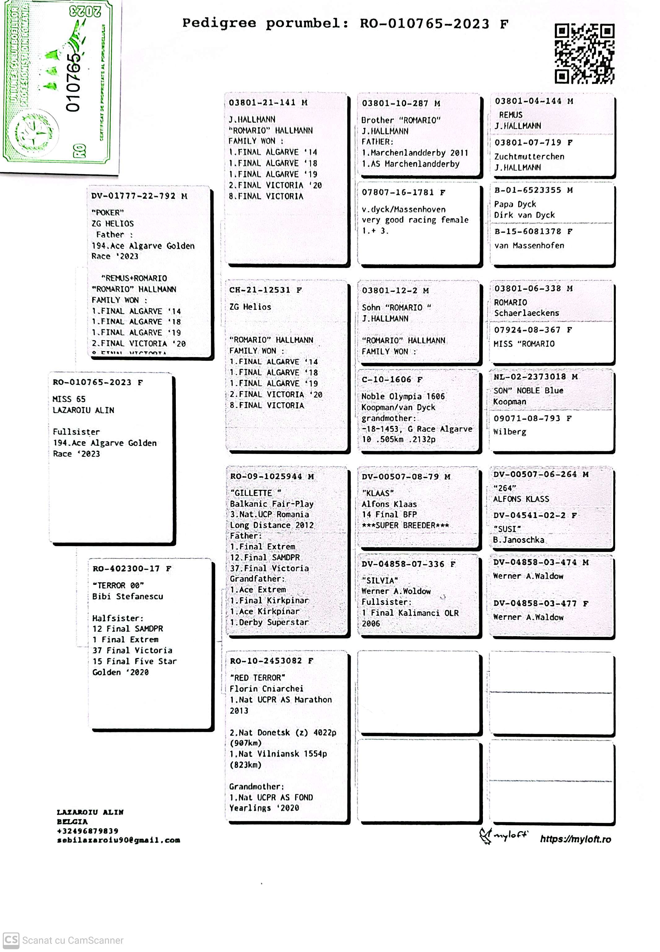 RO 10765-23 F orig. Lazaroiu Alin, sora loc 194 AS Algarve 2023, consangvina Romario