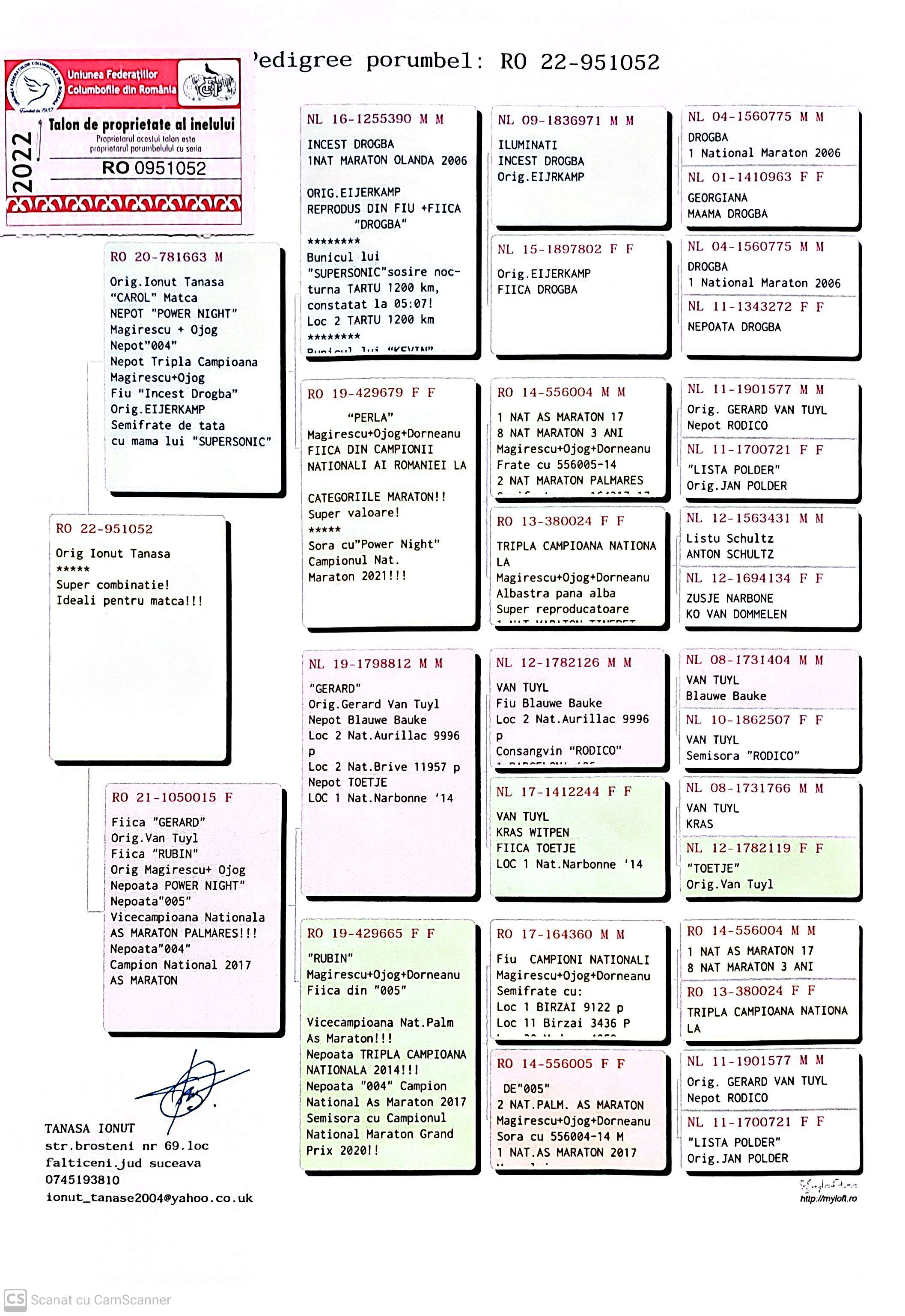 RO 951052-22 F orig. Tanasa Ionut, consangvin Power Night, loc 1 National Maraton 2021